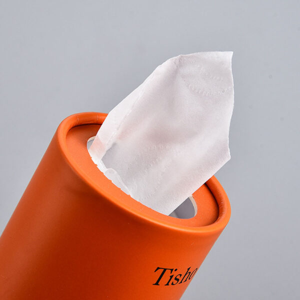 Emballage de tube de papier de soie faciale